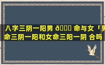 八字三阴一阳男 🍁 命与女「男命三阴一阳和女命三阳一阴 合吗」